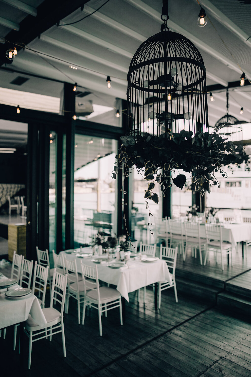 Ptičiji kavez sa zelenilom i Edison sijalice