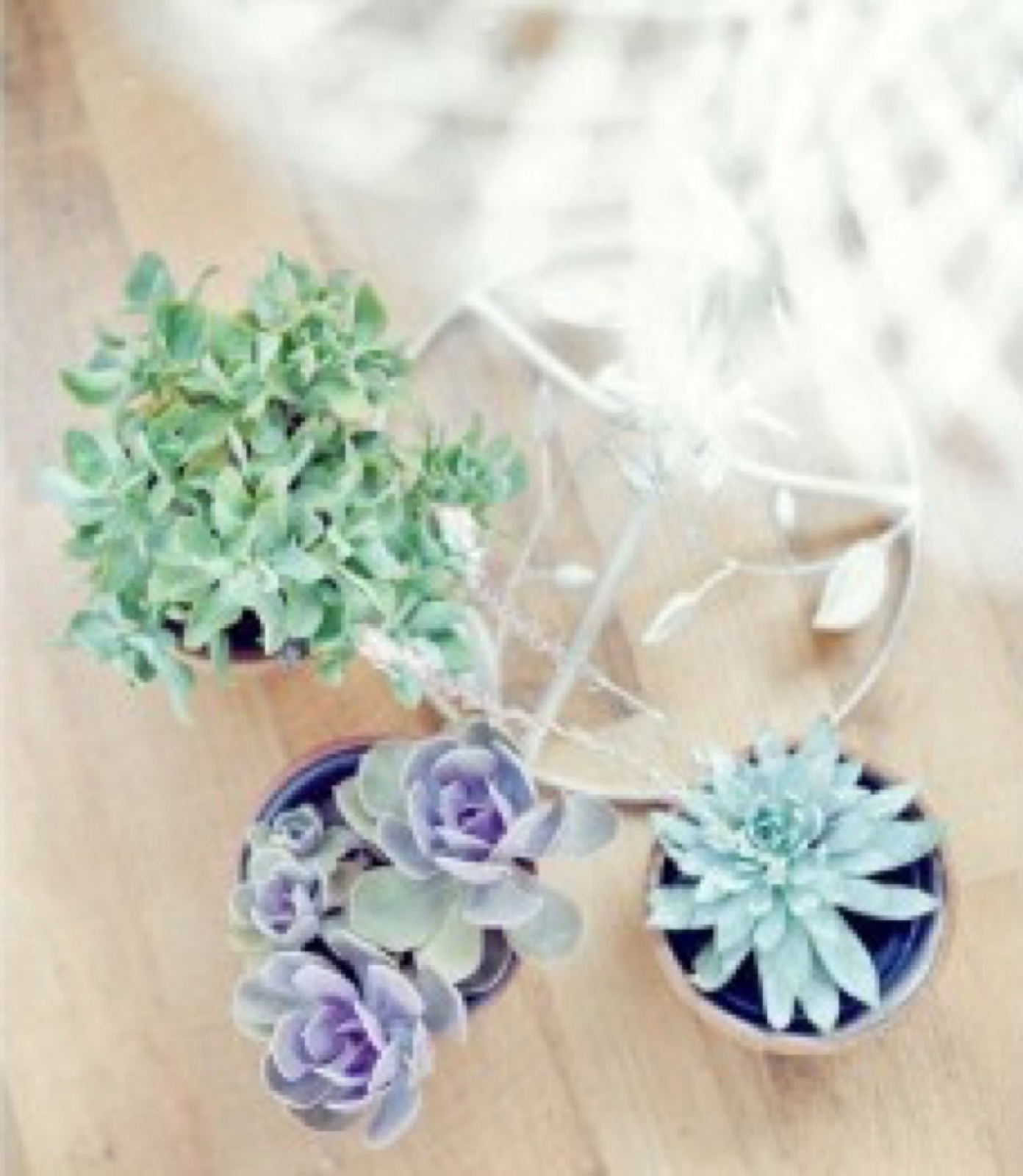 Slatki sto sa makaronima