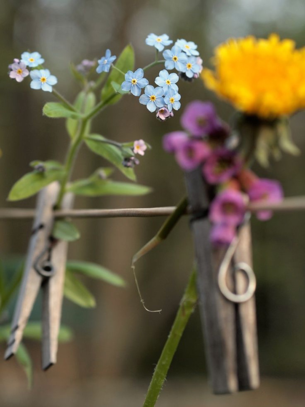 Roze zora — novi dan, novi život