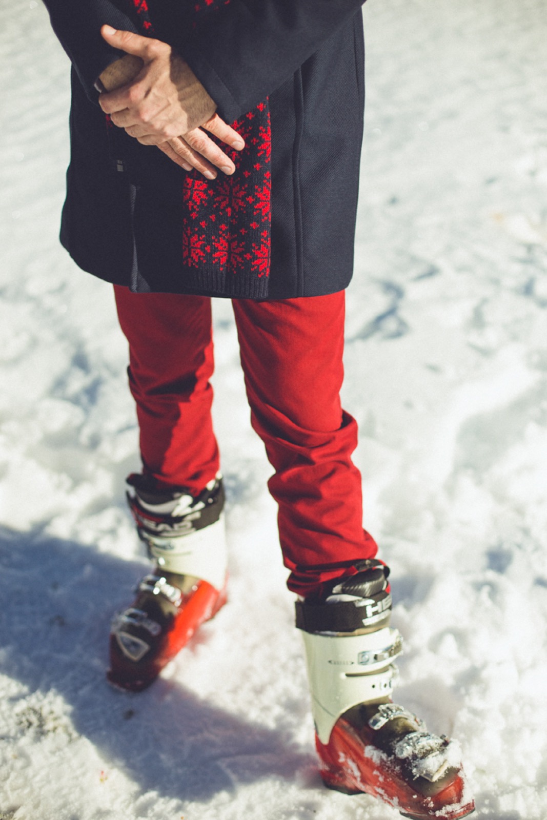 Detalj crvenih cvetova u zimskom aranžmanu