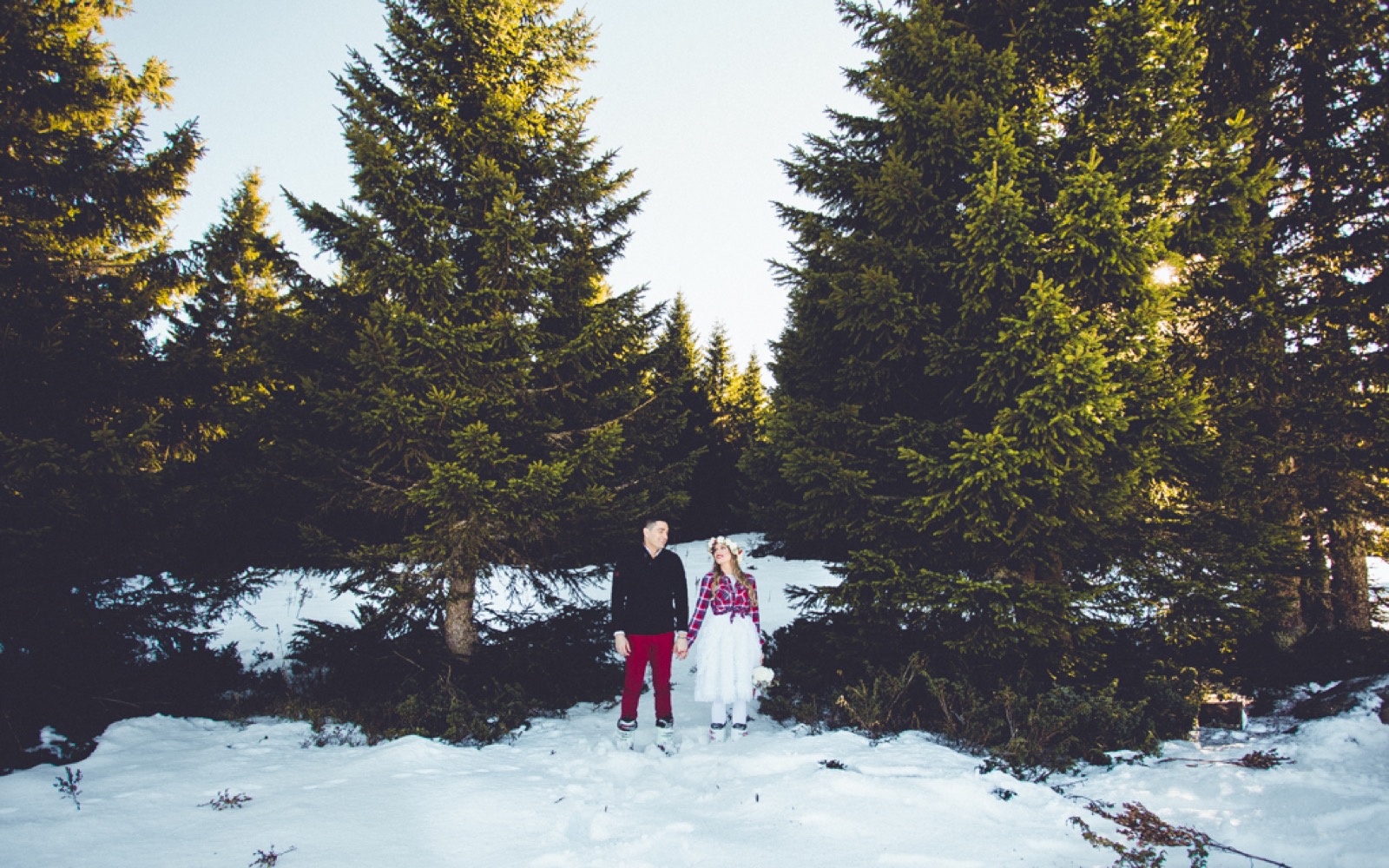 Zimski buket na snežnoj podlozi