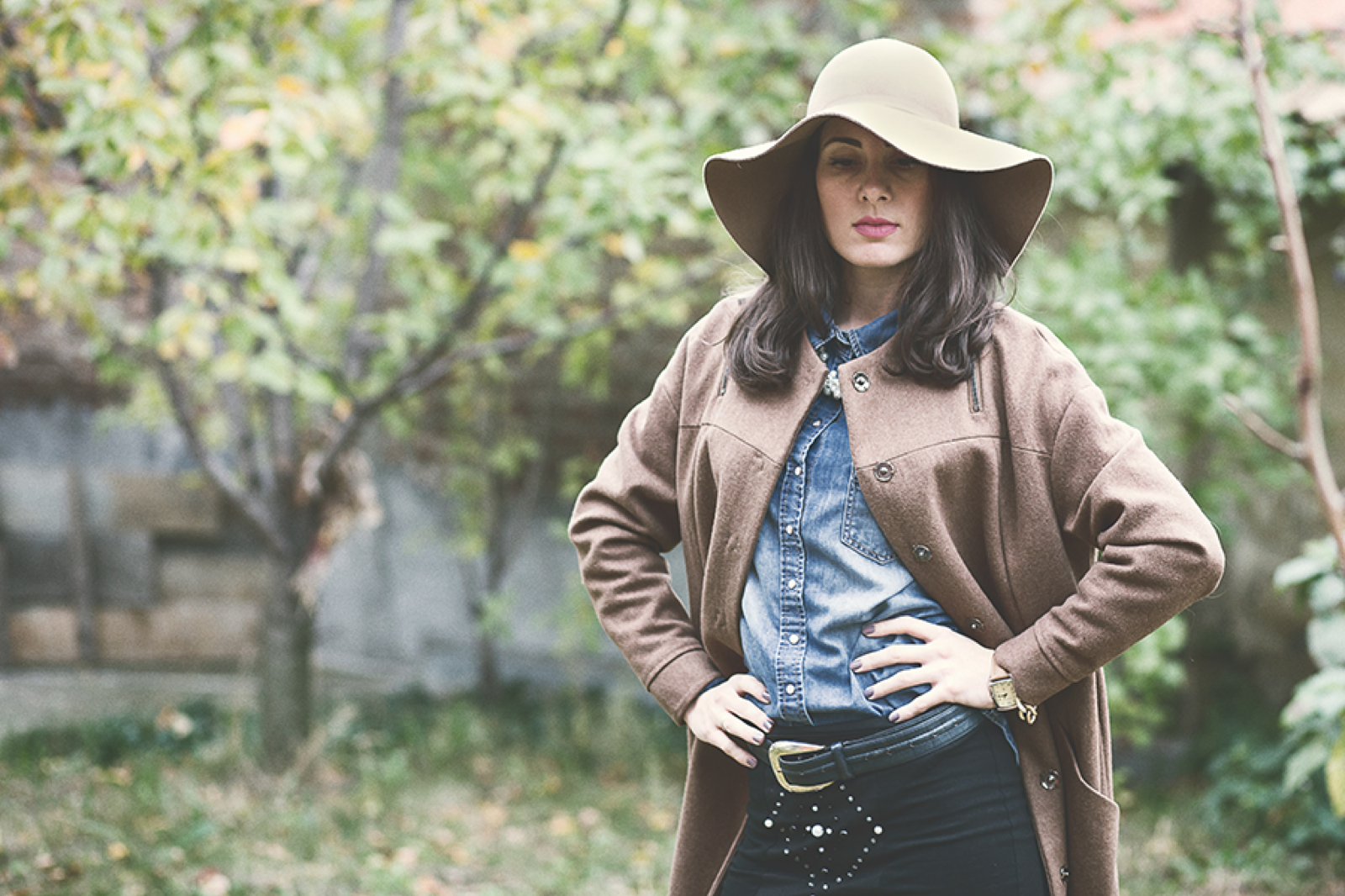 Smisao besmisla — Jesen u mom sokaku