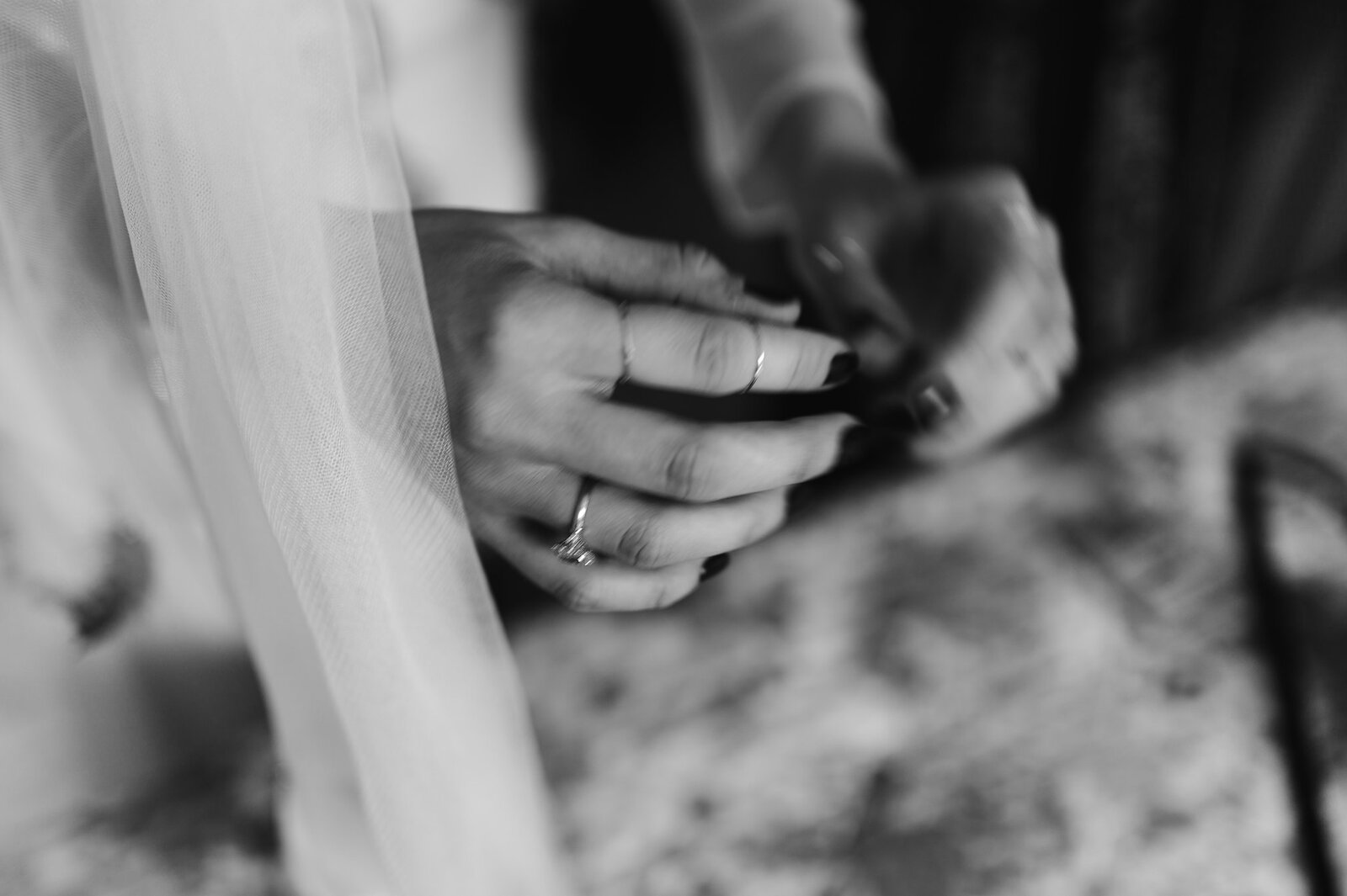 Lampice između stabala voćnjaka