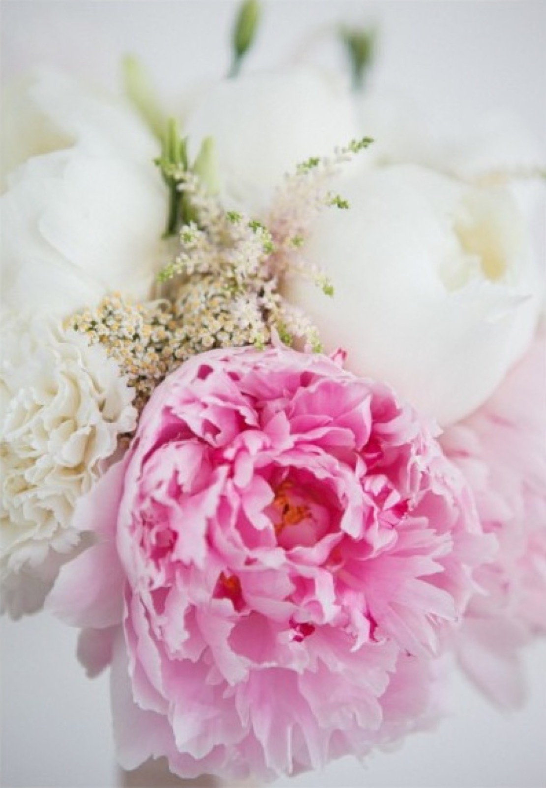 Bidermajer detalj — pastelni božuri